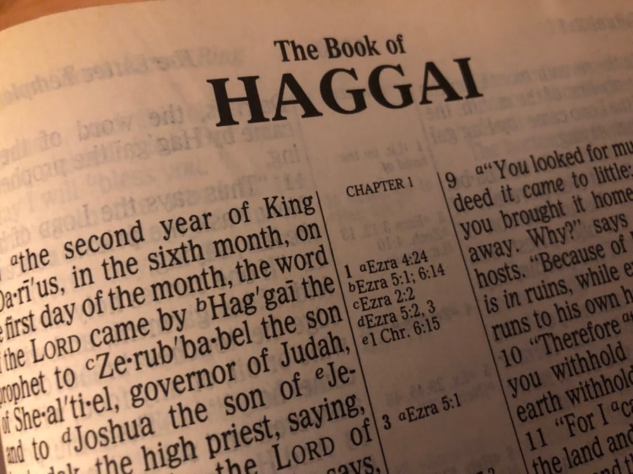 Haggai 2025