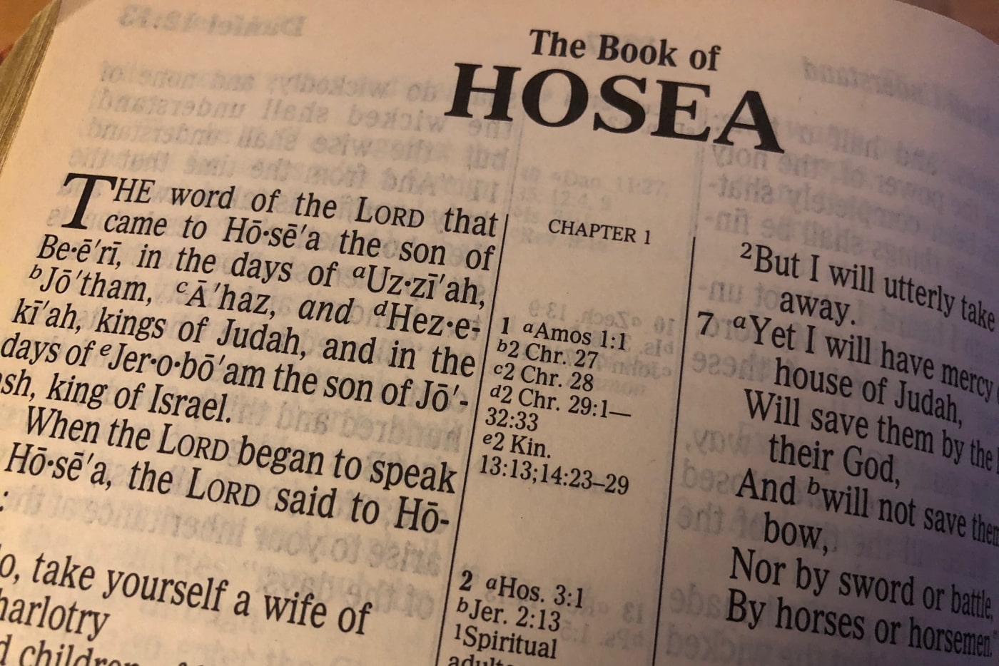 Hosea Session 6