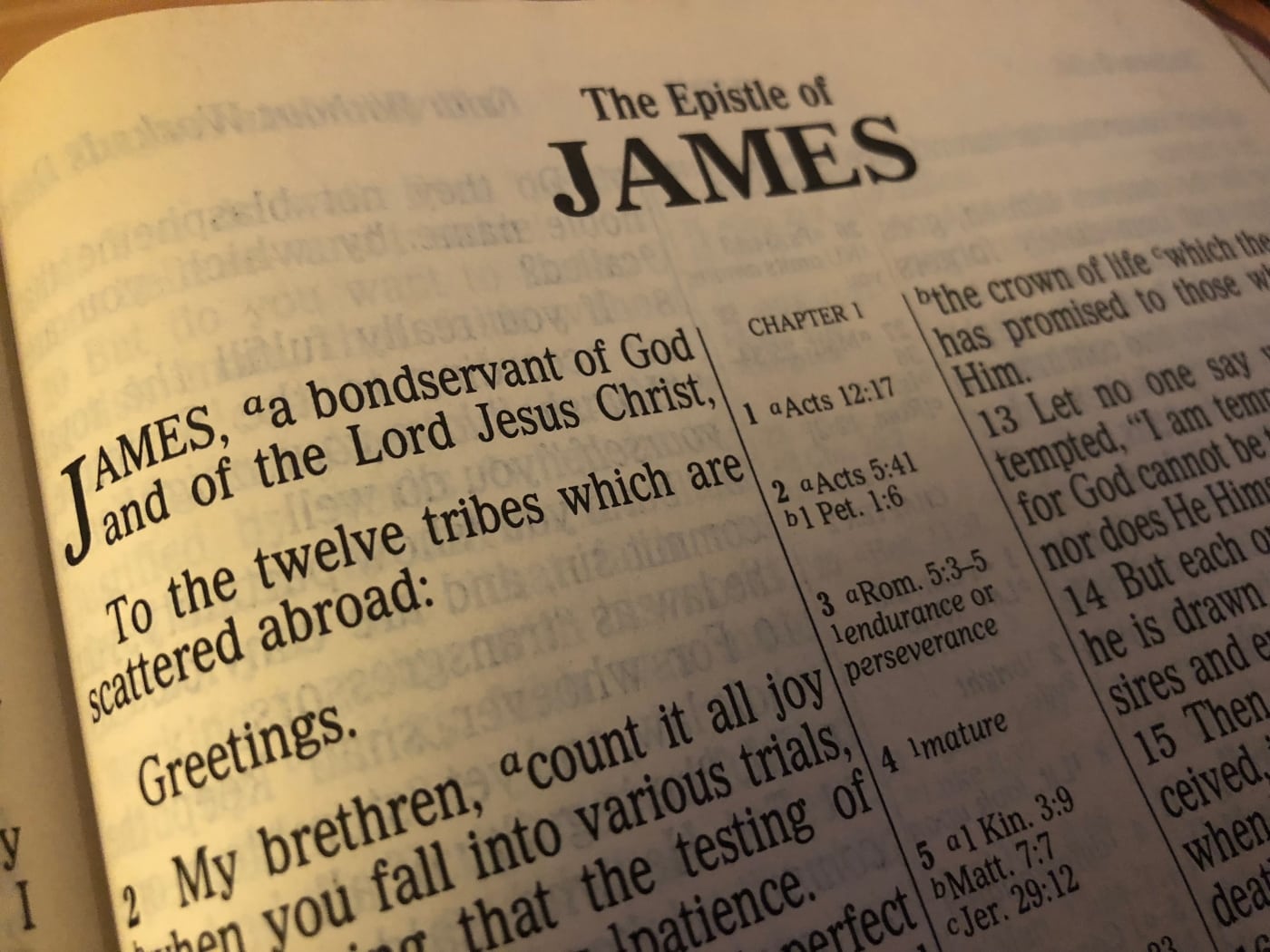 James - A Faith That Endures