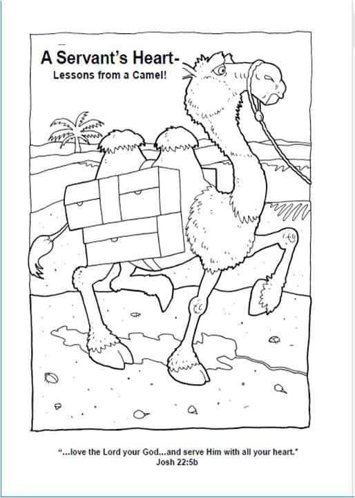 Book 1 -- Lessons from a Camel