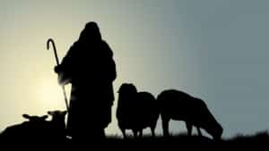 A Faithful Shepherd - Part 2 Image