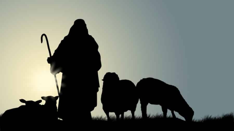 The Profile of a Faithful Shepherd