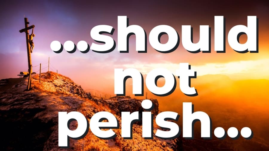 Should Not Perish
