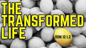 The Transformed Life - Session4 Image