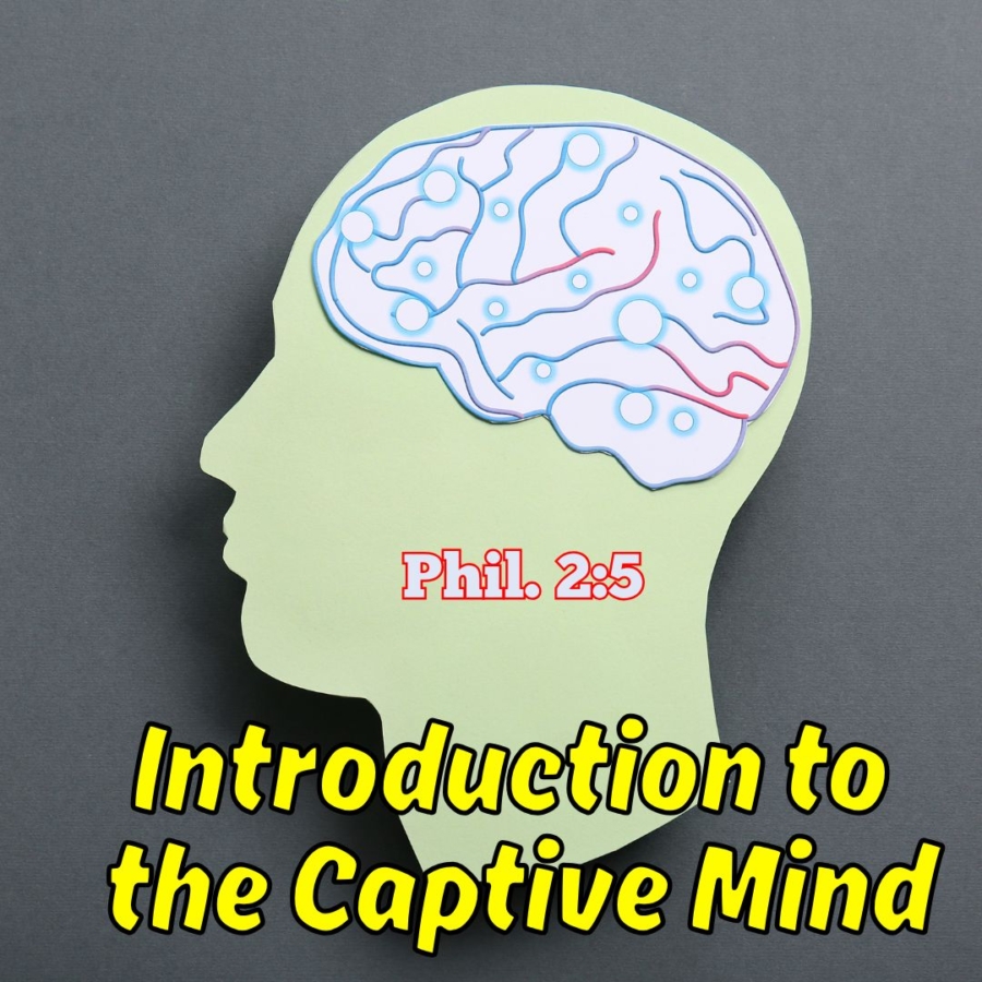 The Captive Mind - Part 2